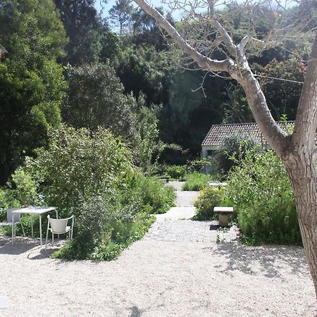 Ribeira Dos Marinheiros Amarelo Apartman Sintra Kültér fotó