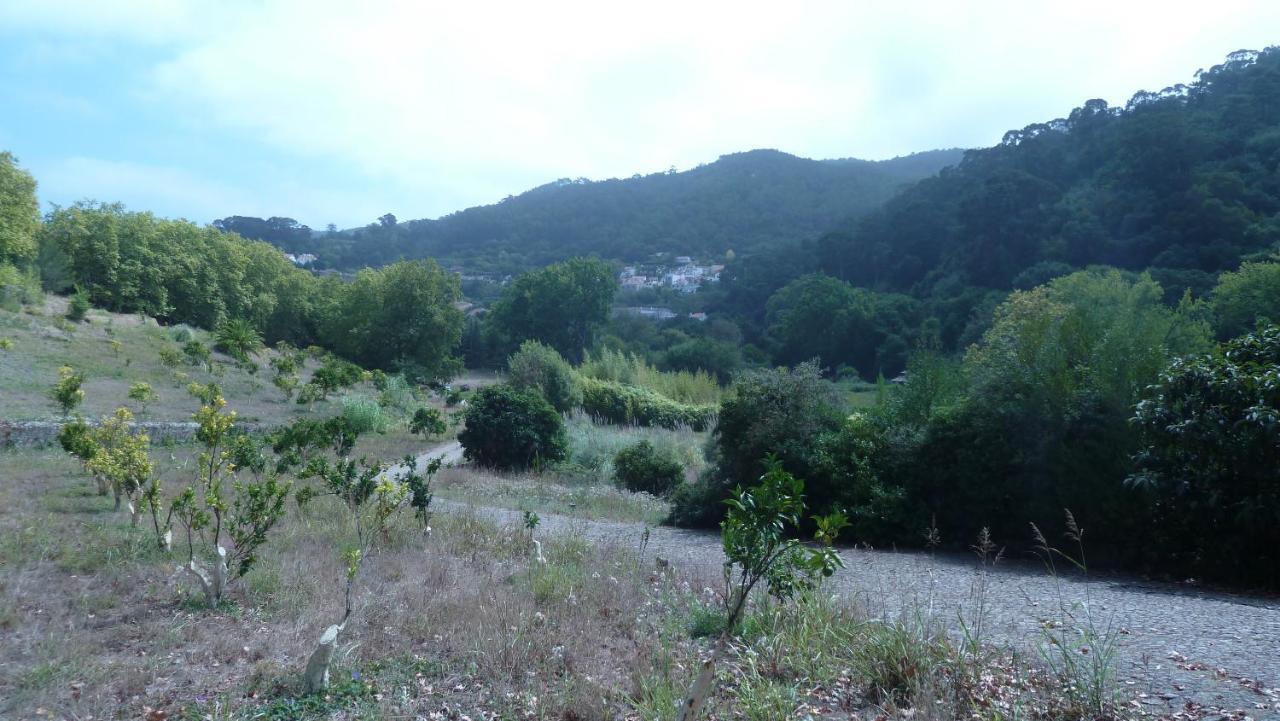 Ribeira Dos Marinheiros Amarelo Apartman Sintra Kültér fotó