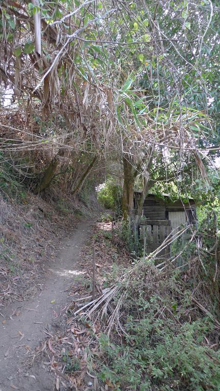 Ribeira Dos Marinheiros Amarelo Apartman Sintra Kültér fotó